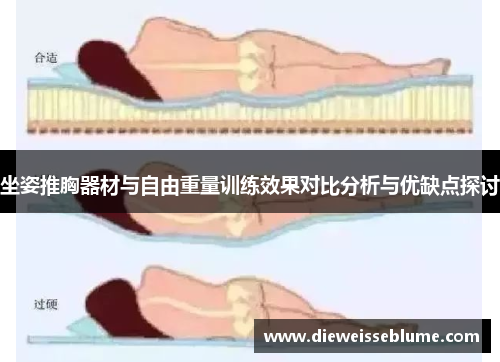 坐姿推胸器材与自由重量训练效果对比分析与优缺点探讨