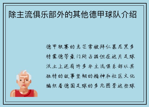 除主流俱乐部外的其他德甲球队介绍