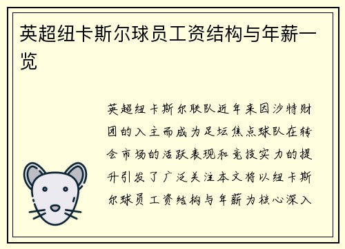 英超纽卡斯尔球员工资结构与年薪一览